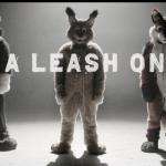 Furries