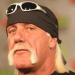 The Hulkster