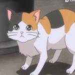 Yui's Cat
