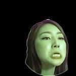 chocoSMORC