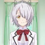 Chartreux WESTIA