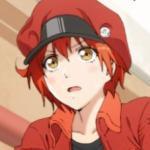 Red Blood Cell