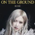 On the Ground - Rose