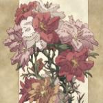 Suki×Suki×Color Free