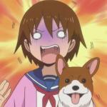 Girl looking for her dog x Dog