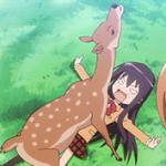 Shino Amakusa x Deer