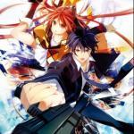 black bullet