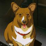 Ein
