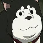 Black Hayate