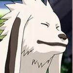 Akamaru